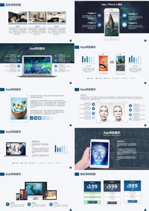 精品項目評估公司介紹商業計劃書PPT模板——熊貓辦公應用軟件服務
